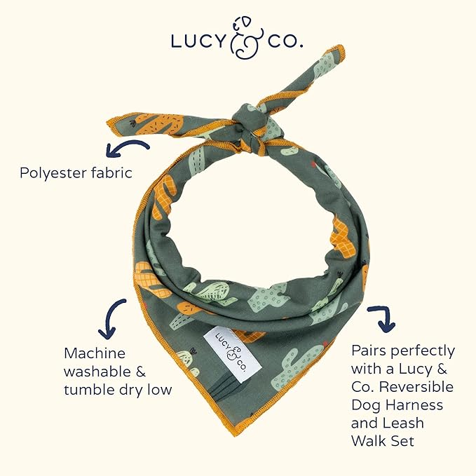 Lucy & Co. Dog Bandana - Designer Puppy Accessory for Boy and Girl Dogs - Includes 1 Limited Edition Print Bandana (Large, Lana)