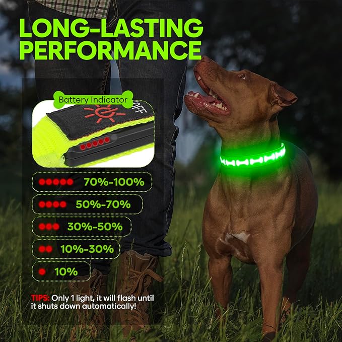 LED Dog Collar with Battery Display, Adjustable Light Up Dog Collars Rechargeable, Glowing in The Dark Reflective Light Collar Super Bright Safety Dog Light for Medium Large Small Pets (Green, S)