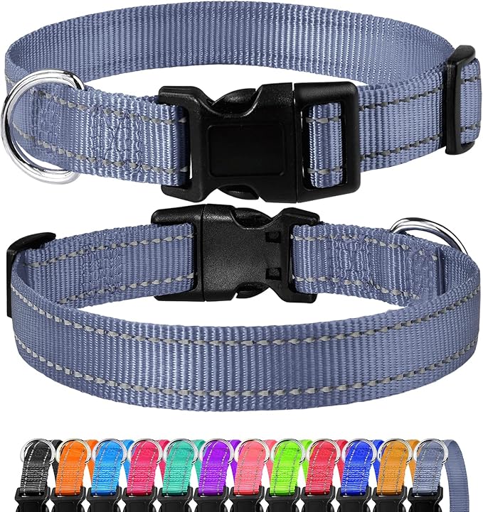 FunTags Reflective Dog Collar, Sturdy Nylon Collars for Puppy and Extra Small Girl and Boy Dogs, Adjustable Dog Collar with Quick Release Buckle,Gray,5/8" Width