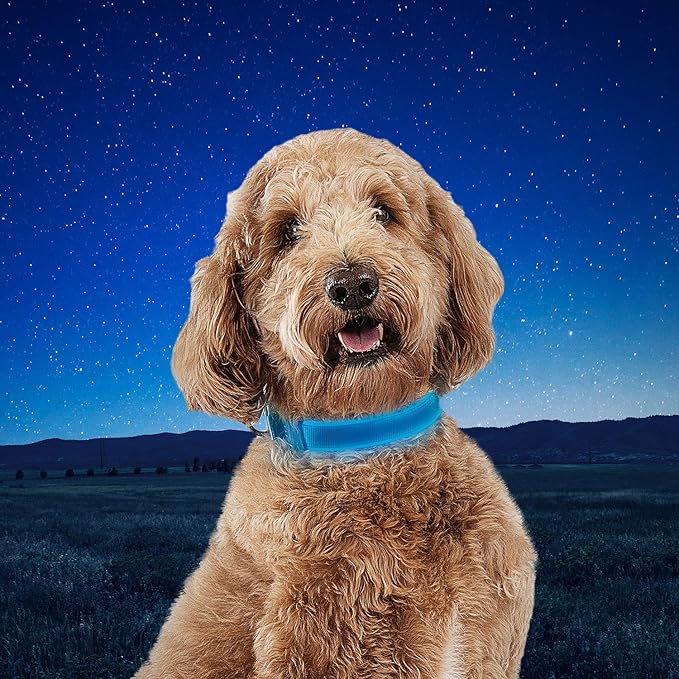 Nite Ize NiteDog Rechargeable LED Collar - Light Up Dog Collar with Durable Metal Buckle - Water-Resistant & Rechargeable Collar - Dog Supplies for Night Activities - Medium, Blue