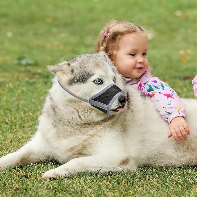 HEELE Dog Muzzle,Soft Nylon Muzzle Anti Biting Barking Chewing,Air Mesh Breathable Drinkable Adjustable Loop Pets Muzzle for Small Medium Large Dogs 4 Colors 4 Sizes (Gray, L)