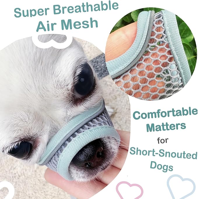 Dog Muzzle for Small Medium Dogs to Prevent Biting for Brachycephalic Dogs, Mini Poodle,Corgi,Short Snout Friendly, Soft Breathable Lightweight Mesh,Open Front, for Grooming Vet Visits (Mint Blue, M)