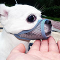 Dog Muzzle, Soft Mesh Muzzles for Small Dogs, Chihuahua Shih Tzu Yorkie Pom, Short Snout Mouth Guard for Barking Biting Grooming, Breathable Adjustable Puppy Muzzle (Summer Blue, XXS)