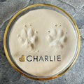 Unbreakable Bond® Pet Paw Print Memory Kit, Self-Curing Molding Putty with Gold Display Tin, No-Bake Pet Memorial Impression Set (Large)