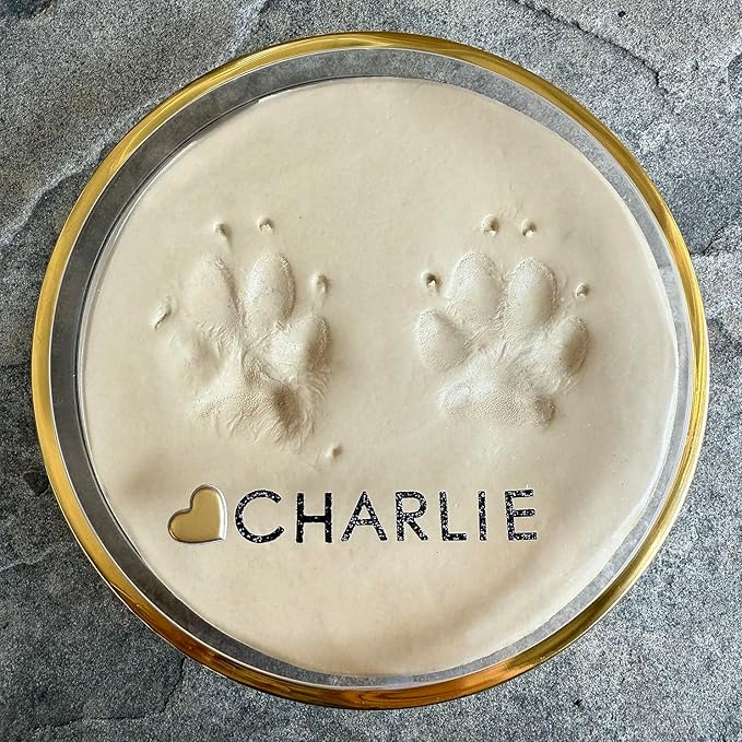 Unbreakable Bond® Pet Paw Print Memory Kit, Self-Curing Molding Putty with Gold Display Tin, No-Bake Pet Memorial Impression Set (Large)