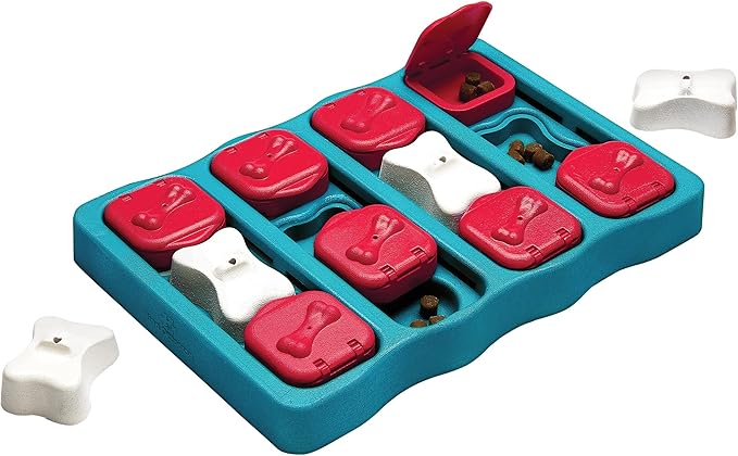 Nina Ottosson by Outward Hound - Interactive Puzzle Game Dog Toys