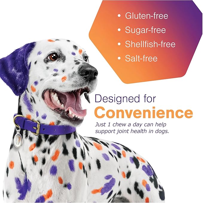 MOVOFLEX Soft Chews Hip and Joint Support Supplement for Large Dogs 60 Count by Virbac