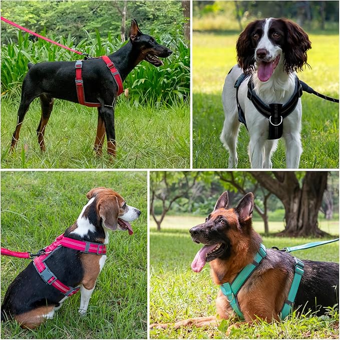 Plutus Pet No Pull Dog Harness, Adjustable Nylon Harness with Soft Padding, Reflective and Heavy Duty Dog Harness for Small, Medium, Large Dogs(Chocolate, M)