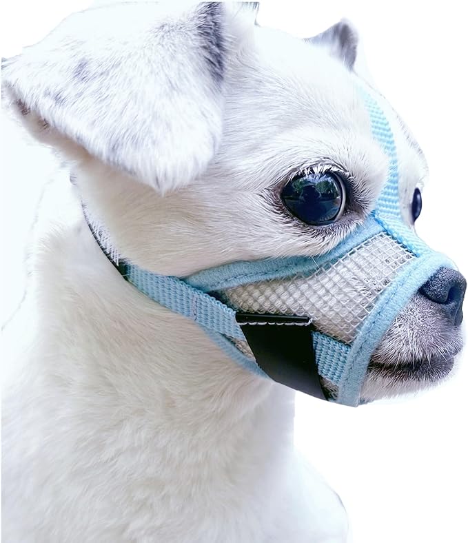 Dog Muzzle for Small Dogs XS for Grooming Barking Chewing, Barkless Soft Mesh Muzzles to Prevent Eating Poops,Best for Aggressive Dogs (Breathable-Blue)