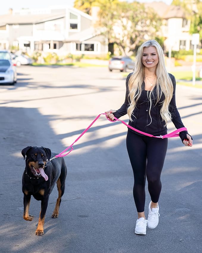 Shed Defender Shock Absorbing Bungee Leash - Three Padded Traffic Handles, Designed in The USA, Stretches 4-7ft, Elastic Dog Leash, Reflective Stitching, Large Dog & Small Breed, Heavy Duty, Black
