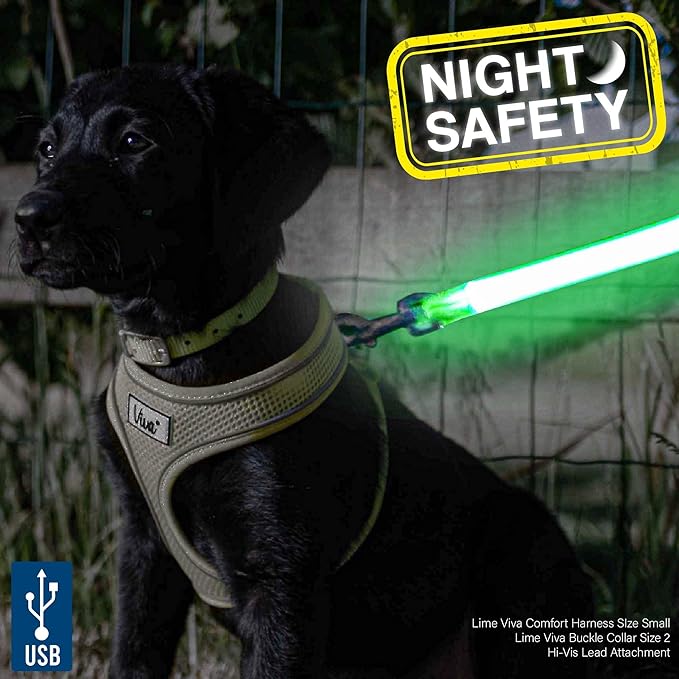 Ancol USB Hi-Vis Flashing Lead Attachment