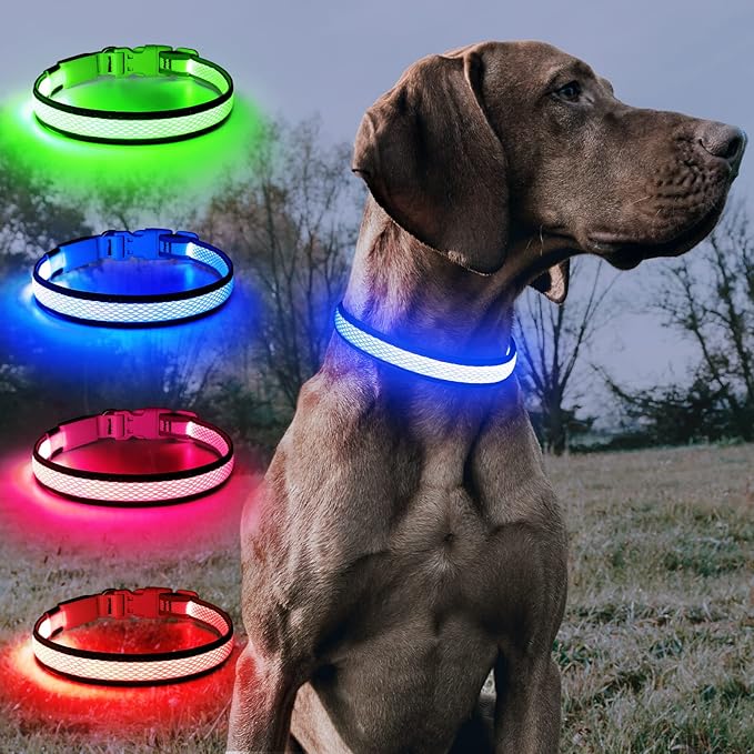 BSEEN Light Up Dog Collar - Reflective LED Dog Collar Rechargeable, Glowing Pet Collars, Adjustable Doggie Lights for Night Walking (Medium Collar, Royal Blue)