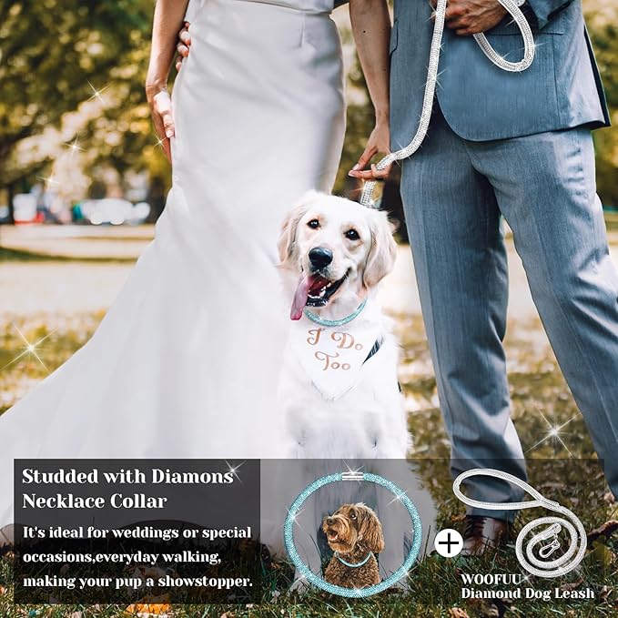 Stylish and Luxurious Diamond Dog Collar,Magnetically Absorbent Clasp,Full Diamond Design,Perfect for Wedding and Everyday Walking - Blue Diamons Necklace Collar for Large Dogs,24''