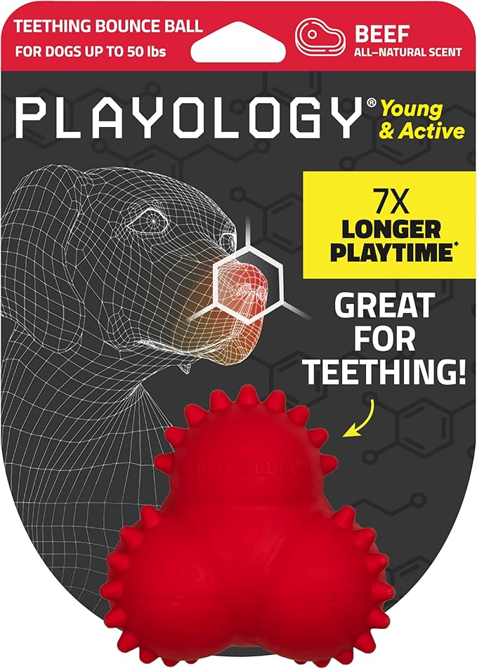 Playology Dog Toys | Puppy Toy Teething Bounce Ball Designed for Young & Active Dogs | Medium Beef Scented Toy Made from Non Toxic Materials