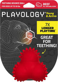 Playology Dog Toys | Puppy Toy Teething Bounce Ball Designed for Young & Active Dogs | Medium Beef Scented Toy Made from Non Toxic Materials