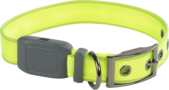 Nite Ize NiteDog Rechargeable LED Collar - Light Up Dog Collar with Durable Metal Buckle - Water-Resistant & Rechargeable Collar - Dog Supplies for Night Activities - Medium, Lime