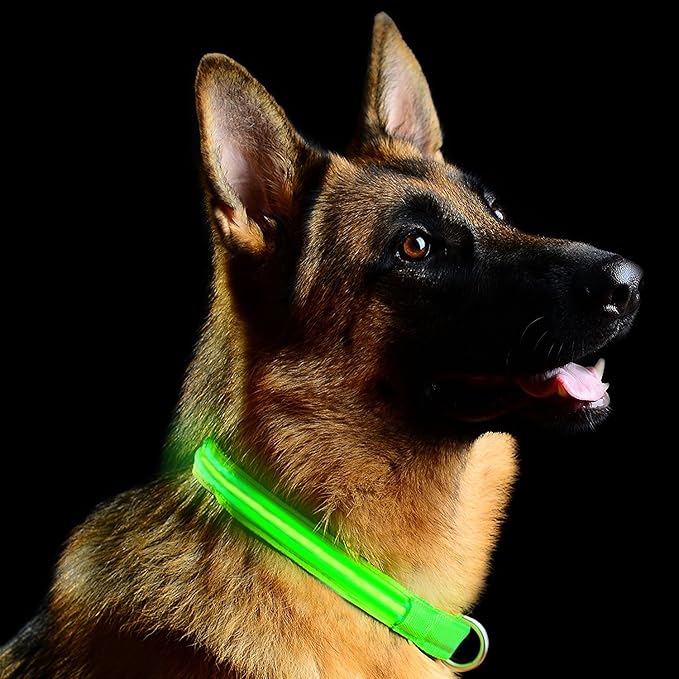 Green Light-Up LED Adjustable Pet Collar (Flashing or Steady Modes) - Rechargeable via USB Cable (Included) by Electronix Express (Medium)