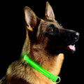 Green Light-Up LED Adjustable Pet Collar (Flashing or Steady Modes) - Rechargeable via USB Cable (Included) by Electronix Express (Medium)