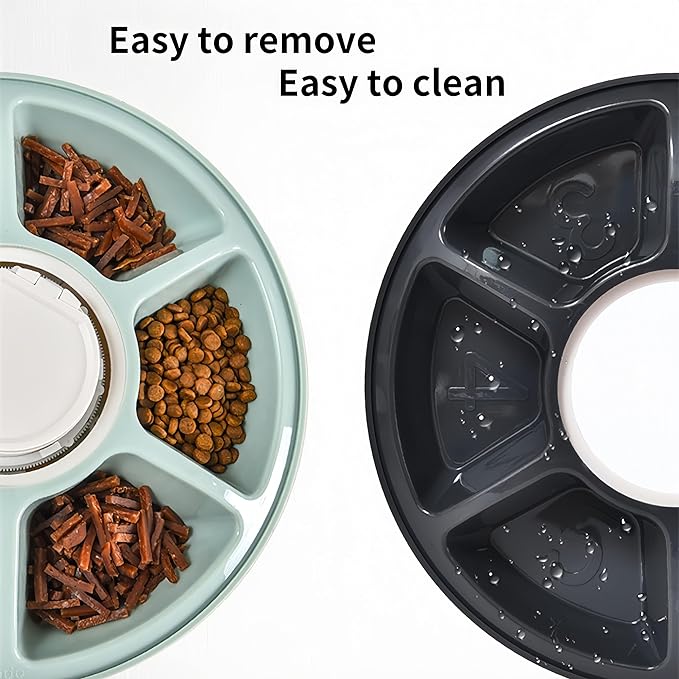 Automatic Pet Feeder with Timer, 6-Meal Programmable Cat & Dog Feeder, 3.17oz per Meal, Voice Alert, PP+ABS (Gray/Light Green) (Gray)