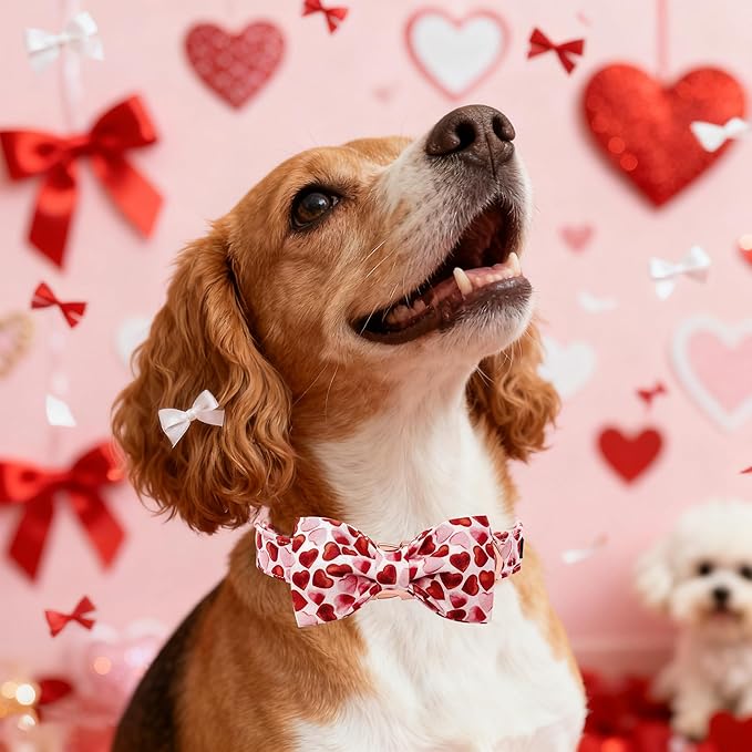 Maca Bates Valentine's Day Dog Collar with Fancy Bow for Small Girl Boy Dogs,Red Love Hearts Pattern,Adjustable Durable Soft Valentine Gift for Female Male Puppy