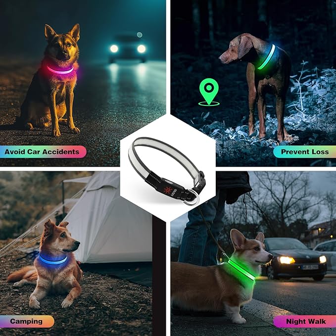 Light Up Dog Collar, Multicolor LED Dog Collar with 7 Lighting Modes - USB-C Rechargeable, Real-Time Battery Indicator, Waterproof & Adjustable Glow Collar for Safe Night Walks (L)