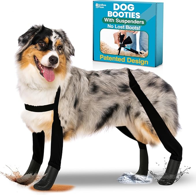 Updated Version - 100% Waterproof Dog Boots with Leggings – Stay-On Paw Protectors with Chest Strap for Rain & Snow, Anti-Slip Traction, Adjustable Fit, Machine Washable (Black, S/M)