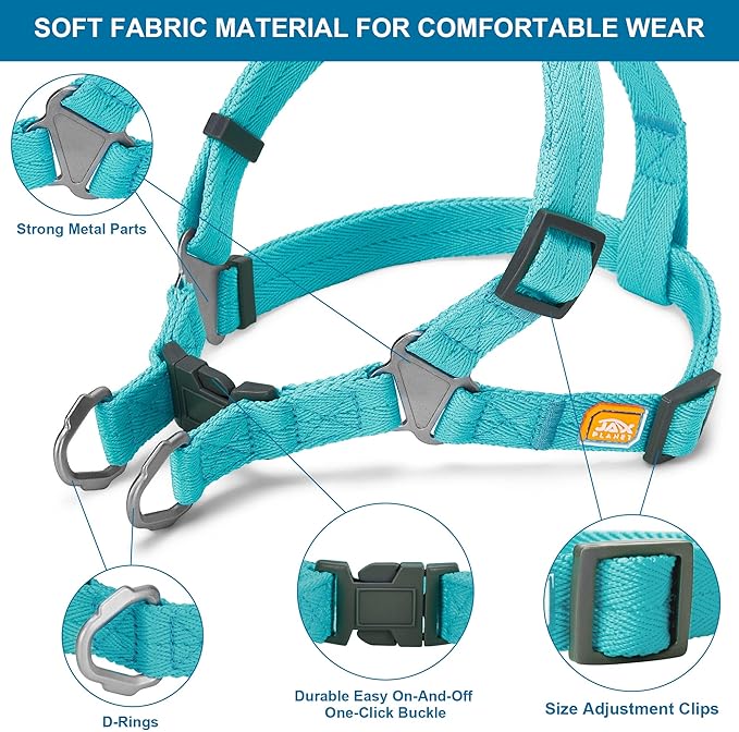 Dog Harness and Leash - Comfortable Leash and Harness for Small, Medium, Large Dogs - Perfect for Training, Includes D-Ring Set[M]