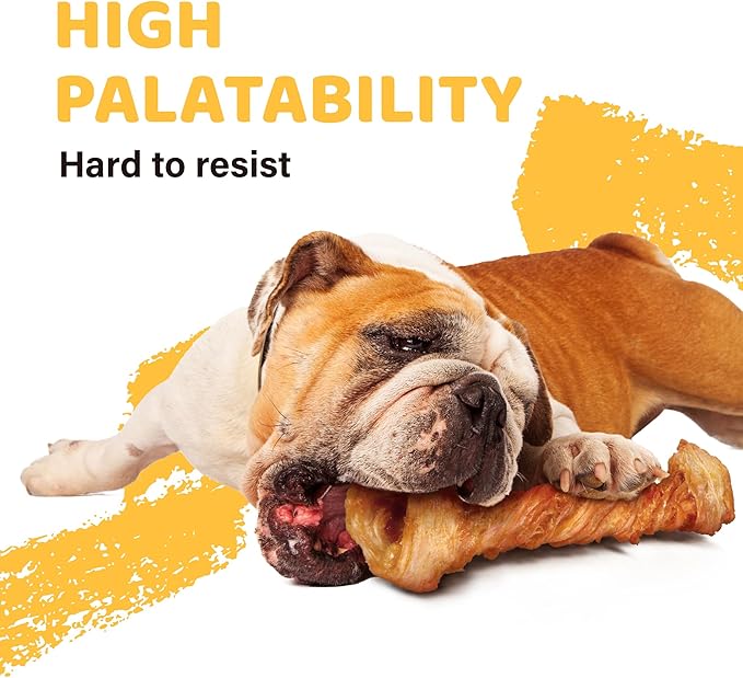 iPaw Turkey Tendon for Dogs, Ingredient Sourced from USA, Hypoallergenic, All Natural Human Grade Puppy Chew, Dog Treats for Signature Series, Rawhide Alternative, 1 Units/Pack Bone (Large)