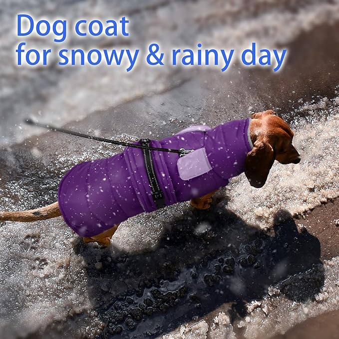 MIGOHI Snowproof Dog Coat - Thick Fleece Dog Jacket with Adjustable Collar, Keep Warm Winter Coat for Medium Dogs Cold Weather Walking Playing,Australian Shepherd,XL,Purple