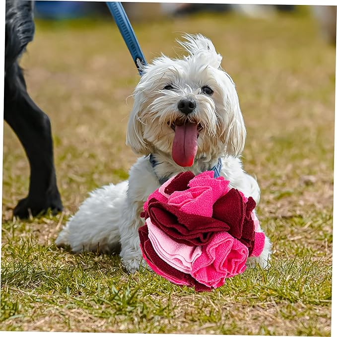 Pet Sniffing Balls Dog Enrichment Toys Puppy Toys for Teething Mentally Stimulating Dog Supply Pet Training Balls