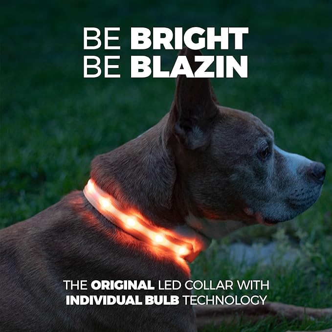 Blazin Light Up Dog Collar - The Original LED Dog Collar - USB Rechargeable - Waterproof - 1,000 Feet of Visibility - Dog Collar Light for Small, Medium, Large Dogs - USA Brand