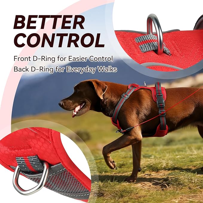 VIVAGLORY Dog Harness Easewalk No Pull Dog Harness with Handle Front Clip & Back Clip for Training Walking Lifting, No Pull Adjustable Easy On Padded Comfortable for Pet, M, Red - Patterned