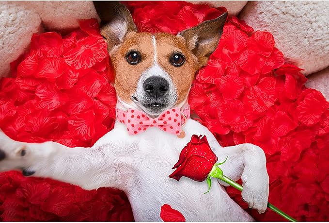 Valentine's Dog Collar With Bow Tie, Small Girl Dog Bowtie, Wedding Gift Pet Cotton Pink Collar With Metal Buckle, S