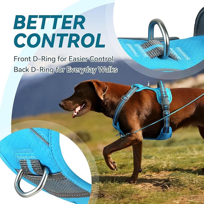 VIVAGLORY Dog Harness Easewalk No Pull Dog Harness with Handle Front Clip & Back Clip for Training Walking Lifting, No Pull Adjustable Easy On Padded Comfortable for Pet, XS, Sky Blue - Patterned