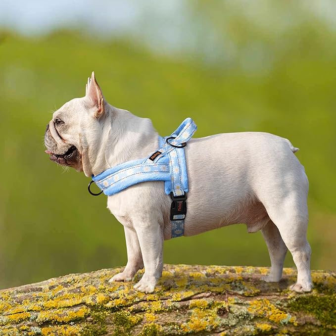 Didog No Pull Dog Harness with Soft Padded, Easy Walk Dog Harness with Quick Release Buckle, Adjustable & Reflective Pet Harness with Soft Padded for Small Medium Dogs (S:Chest 19-22", Blue)