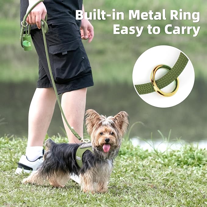 Durable Handwoven Dog Leash for Small & Medium Dogs, 5/16 inch Rope Lead with Anti-Tangle Swivel Clip, Soft & Lightweight, 5FT Long – Ideal for Daily Walking & Training (Misty Green)