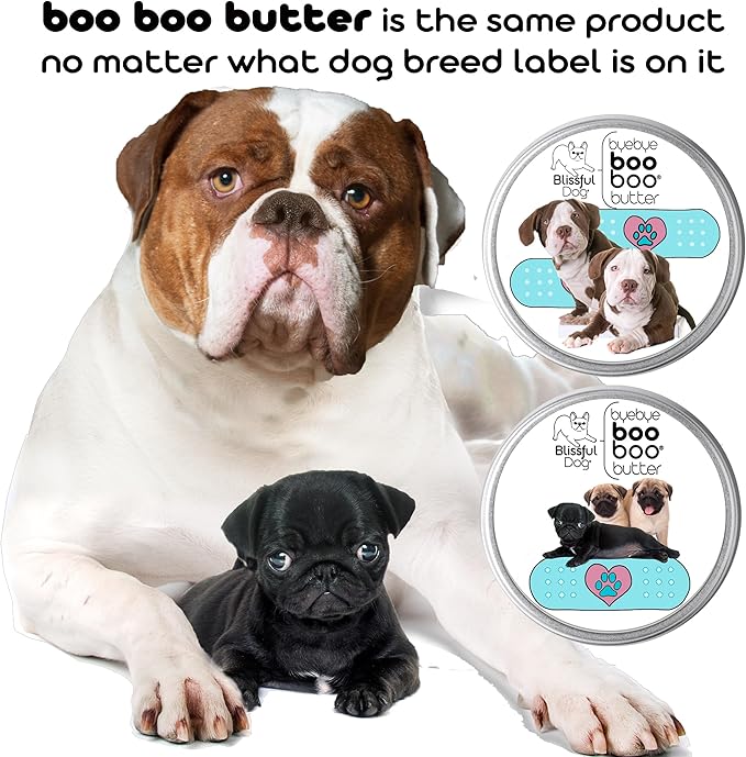 The Blissful Dog Basenji Boo Boo Butter, 4-Ounce