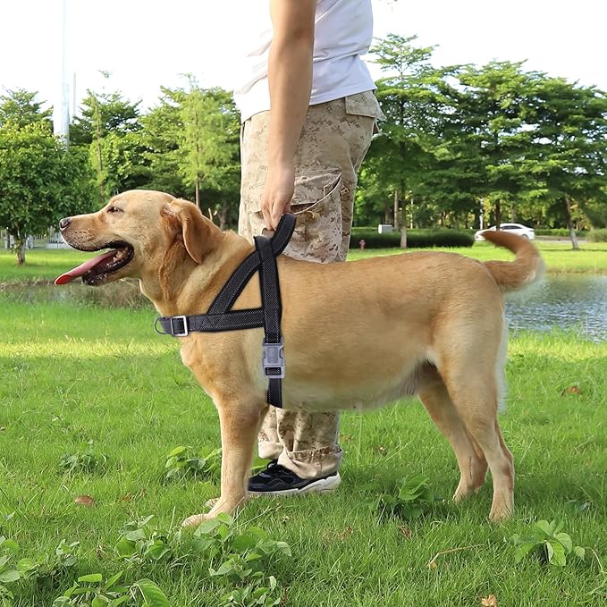 No Pull Dog Harness, Reflective Puppy Harness with Soft Padded Handle, Escape Proof/Quick Fit Adjustable Pet Harness for Small Medium Large Dogs, Easy for Training Walking (Black, M)