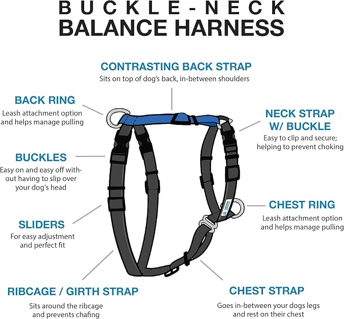 Blue-9 Buckle-Neck Balance Harness, Fully Customizable Fit No-Pull Harness, Ideal for Dog Training and Obedience, Made in The USA, Camo, Medium/Large