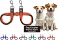 Kruz Double Dog Leash for Two Dogs (Width - 3/4”, Length 17”-34”) Dual Leash Coupler with Tangle-Free Swivel, Shock-Absorbing Reflective Bungee for Comfortable Walking & Training (Orange, Medium)