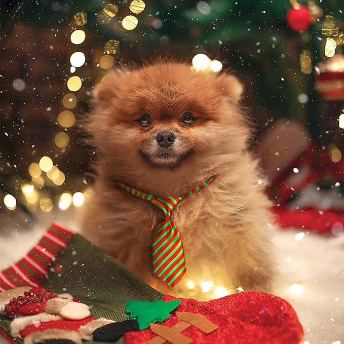 Segarty Dog Neck Ties, 30 Pcs Dog Ties with Adjustable Collar, Pet Bowties for Small Cats, Puppy Bowties Pets Neckties Grooming Bows Bulk for New Year Photography Holiday Wedding Festival Party