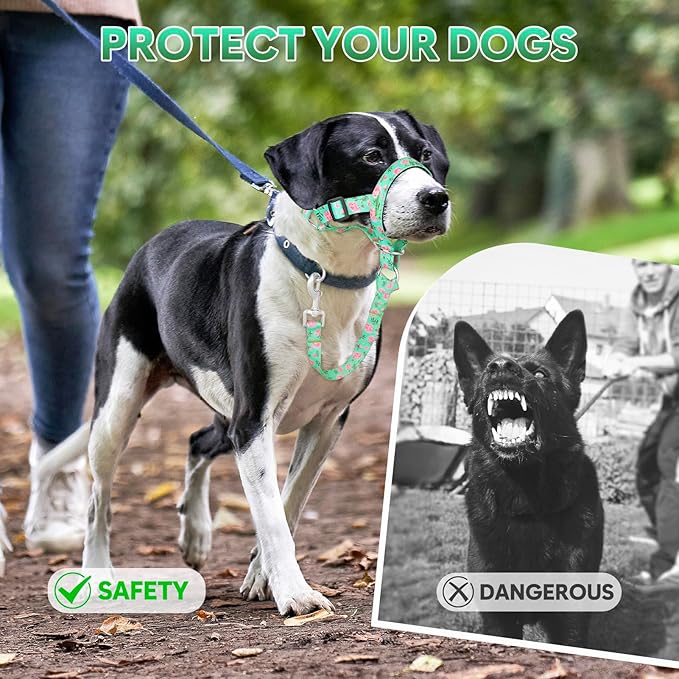 Dog Head Collar, Printed No-Pull Headcollar, Adjustable Dog Head Halter Gentle Lead with Safety Link, 3 Colors Muzzle Leash for Small Medium Large X-Large Dogs Easy Walks(XLarge, Peony)