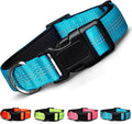 BLAZIN Reflective Dog Collar - Vibrant Color for Day and Night - Soft Neoprene Padded Collar - Adjustable Sizing -'Color Me Happy!' Dog Collars - Brighter Means Safer - (Small, Blue)