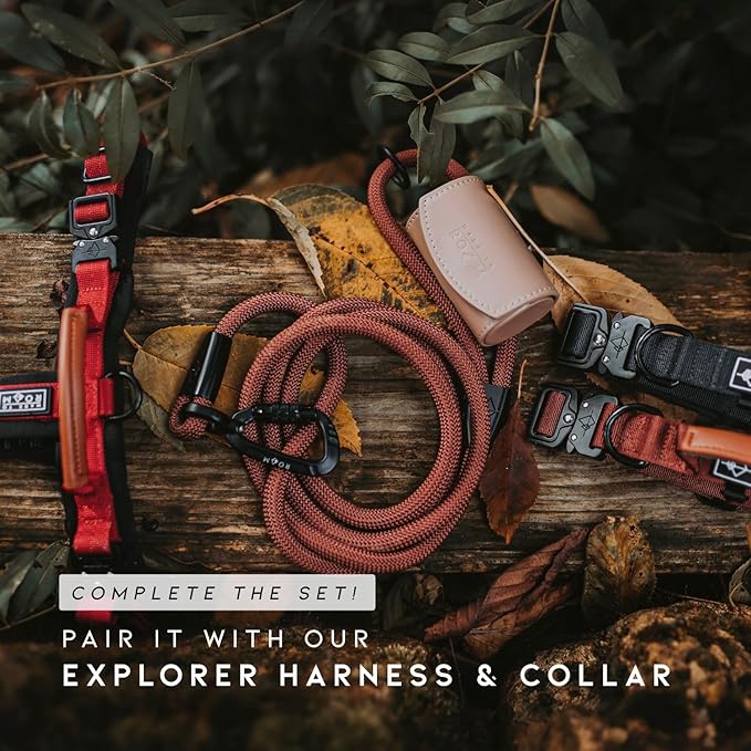 MADE TO ROAM Premium Explorer Leash - Climbing Rope Leash with Autolocking Aviation Aluminum Carabiner - Arizona Heartbeat, 6ft