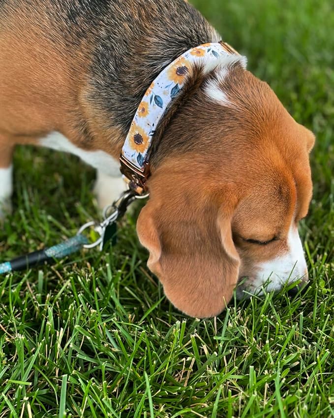 Elegant little tail Dog Collar, Sunflower Pattern Pet Collar Durable Cute Dog Collars Summer Fall Female Pet Gift Adjustable Dog Collar for X-Large Dogs