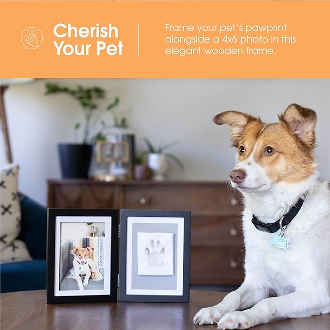 Pearhead Pet Paw Print Photo Frame With Clay Imprint Kit - Wooden Pet Paw Print Frame, DIY Memorial Keepsake for Cats and Dogs, No Mess Clay for Perfect Pawprints, Ideal Home Decor and Gift, Black
