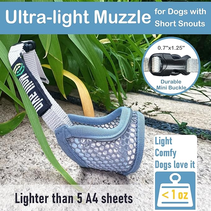 Dog Muzzle, Soft Mesh Muzzles for Small Dogs, Chihuahua Shih Tzu Yorkie Pom, Short Snout Mouth Guard for Barking Biting Grooming, Breathable Adjustable Puppy Muzzle (Summer Blue, XXS)