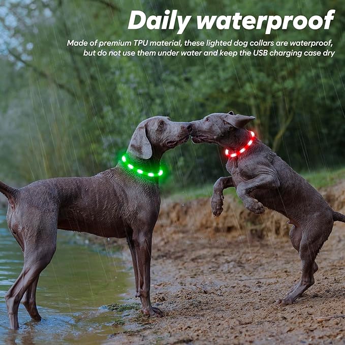 BSEEN Light Up Dog Collar - 2 Pack LED Dog Collar Rechargeable, Silicone Cuttable Glow in The Dark Dog Collar Light, Flashing Safety Dog Lights for Night Walking (Red+Green)