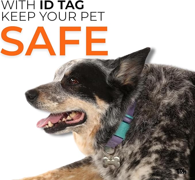 Adjustable Dog Collar with ID Tag – Soft Polyester, Quick Release Buckle – Durable, Waterproof, Cute Dog Collar – Puppy Collar, Stylish Pet Accessories (Lilac, XSmall)