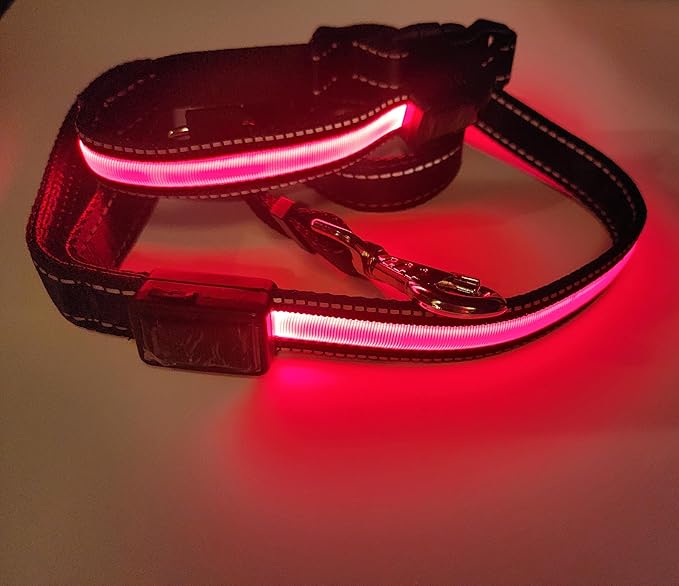LED Dog Collar and Leash Light USB Rechargeable Color Changing, Glow in The Dark Dog Collars and Leash Waterproof (Red, Collar Large + Leash)
